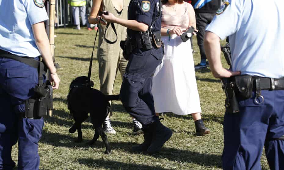 Sniffer dog and NSW Police at a festival